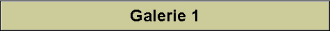 Galerie 1