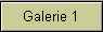 Galerie 1