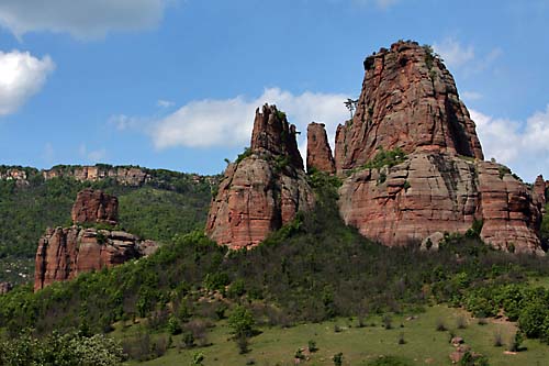 Kiefernstein