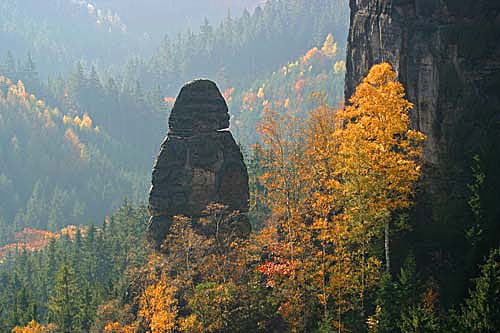 Heringsgrund