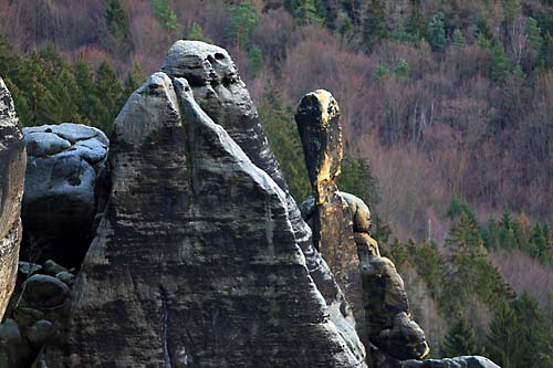 Schrammsteinnadel